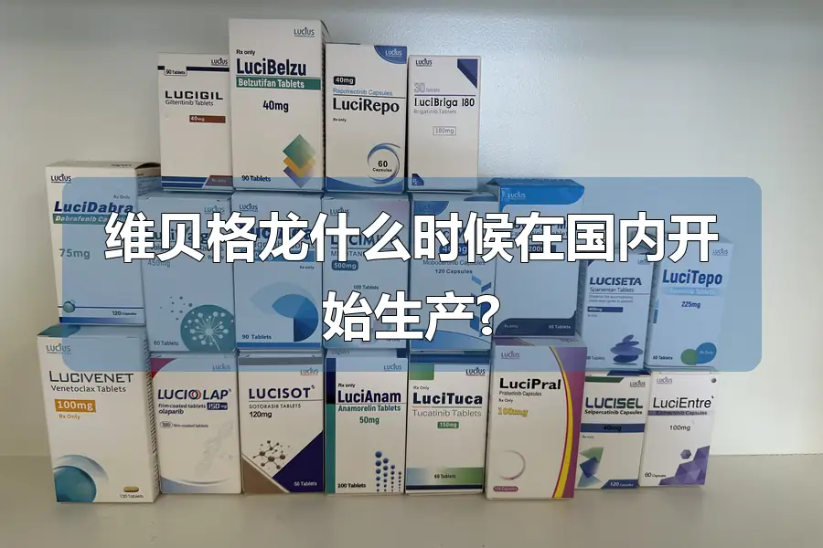 维贝格龙什么时候在国内开始生产?